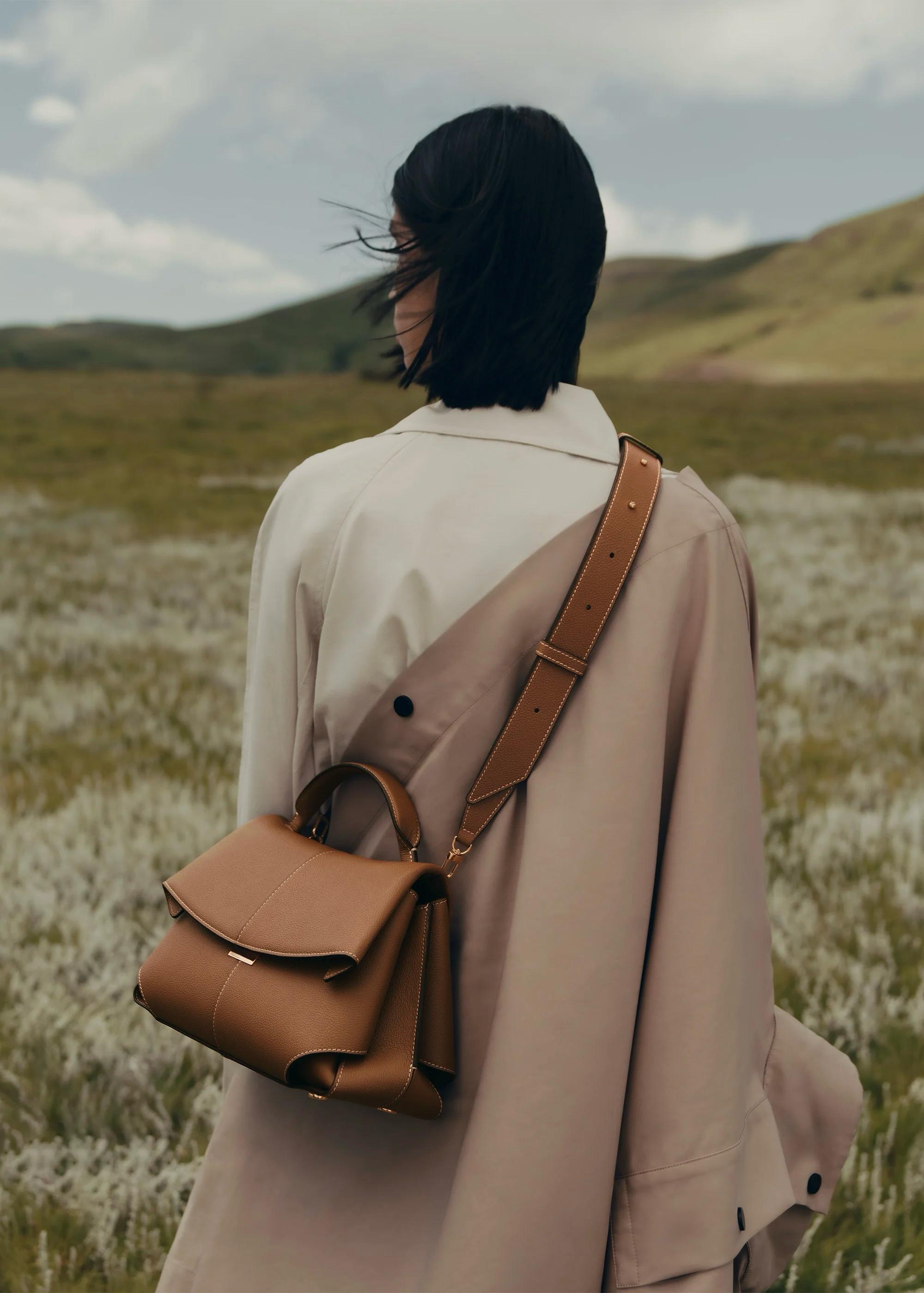 Aria: A Symphony of Elegance
